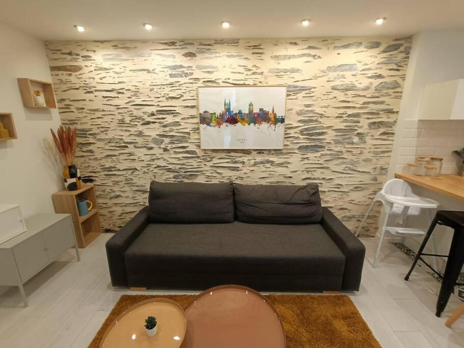 Douceurs Angevine Apartment Angers Bagian luar foto